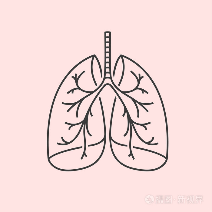矢量的肺图标