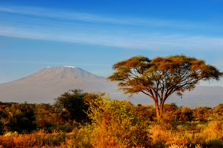 在早上，肯尼亚安博塞利国家公园，非洲日出后美丽的乞力马扎罗山