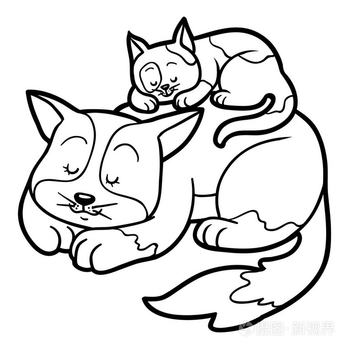 儿童着色书两只斑点猫
