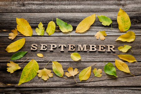 9 月题字木制的背景上，帧的黄色树叶