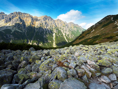 夏天的塔特拉山的全景