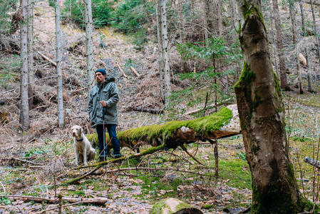 在森林和拉布拉多狗一起徒步旅行的人