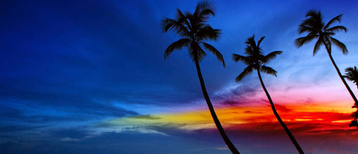 棕榈树和加勒比海上的夕阳