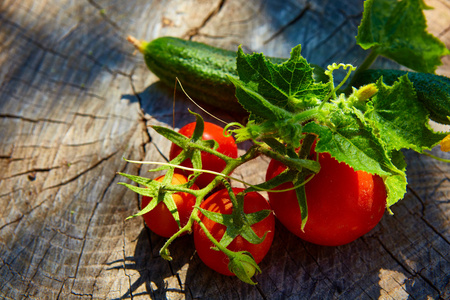 健康饮食，有机黄瓜，西红柿的概念