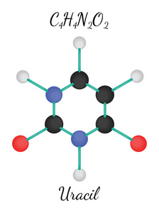 h4n2o2 尿嘧啶分子