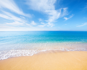 海滩和热带海