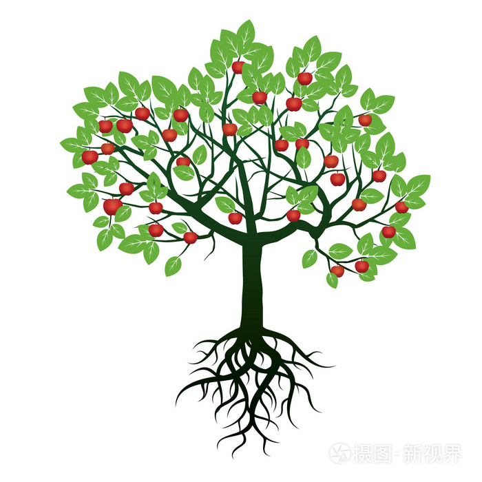 树,绿色的叶子,根和红苹果.矢量图