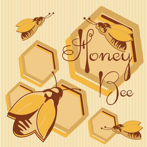 矢量蜂蜜背景和蜂窝标签为您设计上的蜜蜂