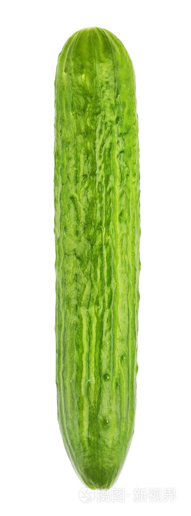 长新鲜黄瓜
