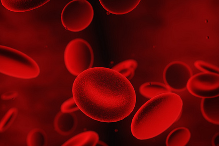血液细胞图