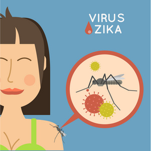 病毒zika载体图示
