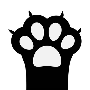 大黑猫爪子用爪子图片