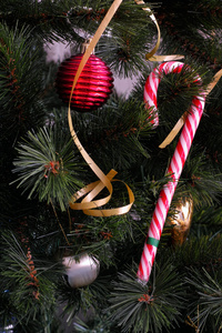 圣诞装饰品挂在圣诞树上