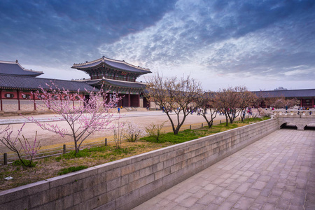 在春天，韩国景福宫