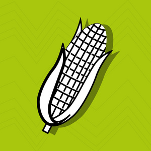 玉米图标设计