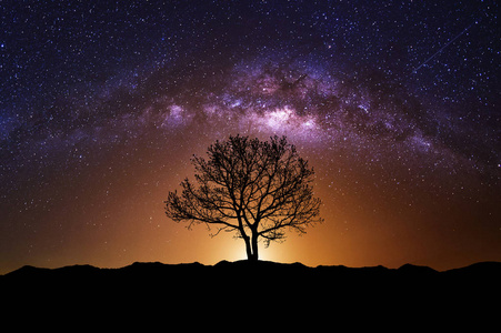 夜景与银河系和老树
