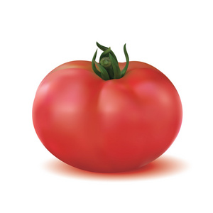 大的成熟的红色的新鲜的番茄