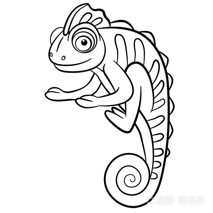 野生动物.小可爱变色龙