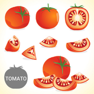 番茄在各种样式矢量格式的一套