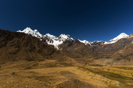 在安第斯山脉的山风景