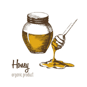 罐子里的蜂蜜，蜂蜜在白色背景上的勺子。通过手工绘制。草绘。有机产品。矢量