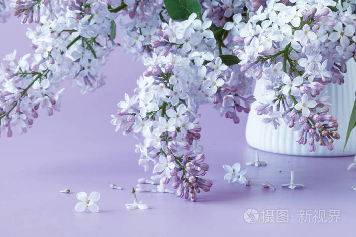 盛开丁香花