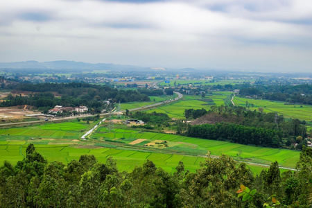 Quangngai 稻田