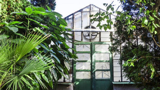 适合植物生长的植物园温室