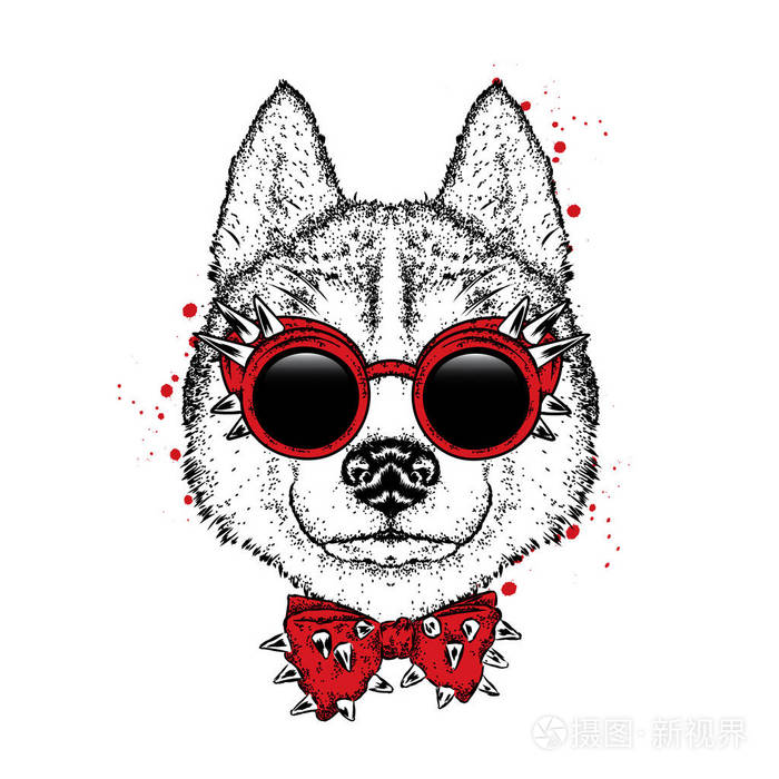 矢量插图.在衣服和配件的纯种小狗.沙哑