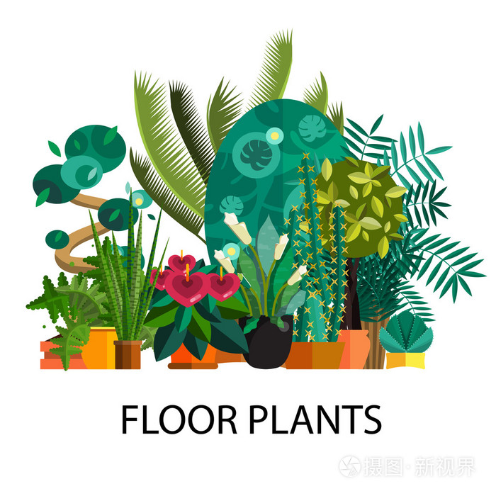 热带植物一套扁平盆栽插画-正版商用图片0egz5k-摄图