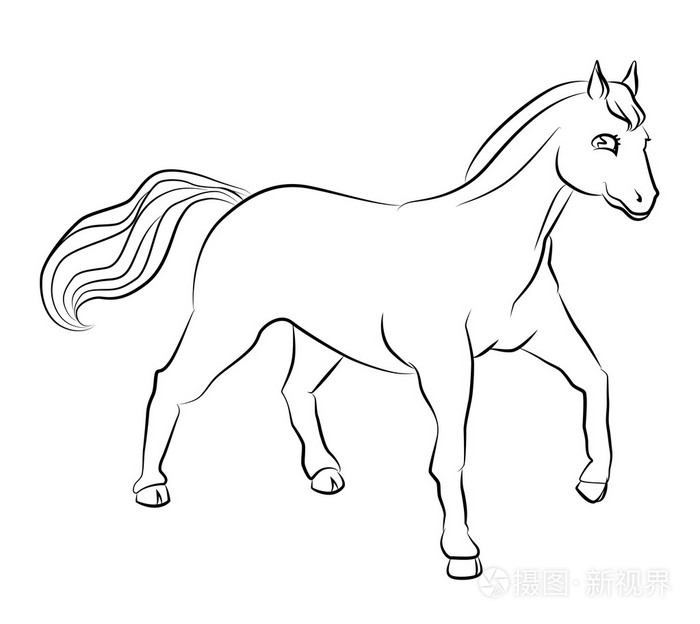 黑色和白色的图像的一匹马插画-正版商用图片0ehjuk