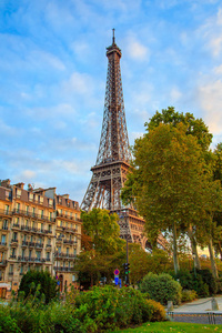 壮观的巴黎城市与古老的建筑, 公园和埃菲尔铁塔在他们身后上升