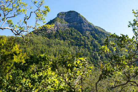 Spicers Gap Lookout in the Scenic Rim, Queensland