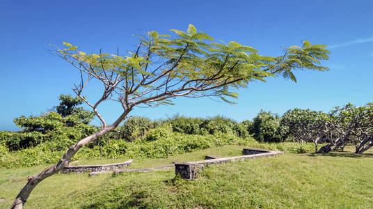 巴厘岛努沙杜阿岛