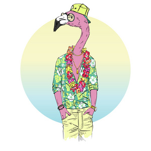 火烈鸟穿着夏威夷衬衫图片