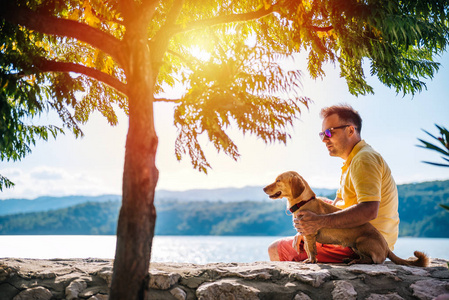 穿黄衬衫太阳镜和狗坐在小树旁的石墙上的男人