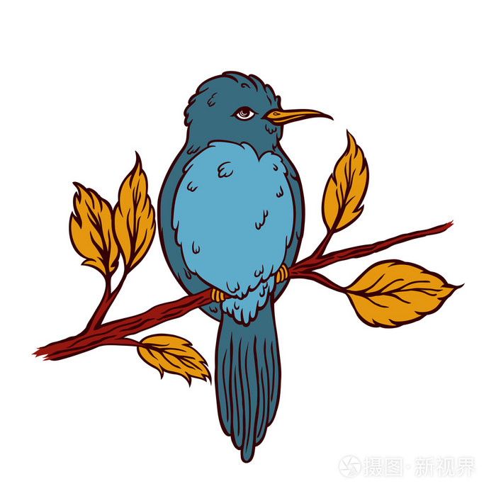 矢量插画的一只鸟