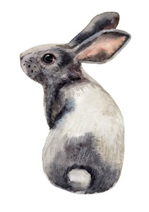 兔子尾巴可爱的灰色毛茸茸的小兔子坐在后面, 毛茸茸的小尾巴, 头转身左美丽的眼睛水彩画照片