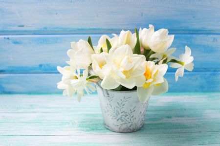 明亮的白色水仙花和郁金香