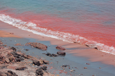 霍尔木兹海峡的红海水