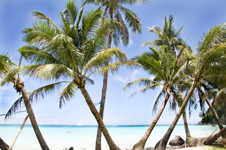 热带海滩与棕榈树和沙子