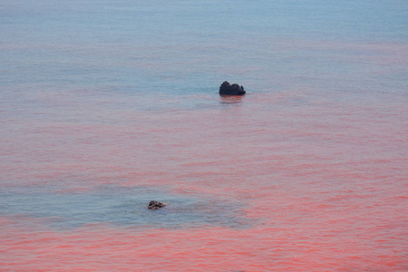 霍尔木兹海峡的红海水