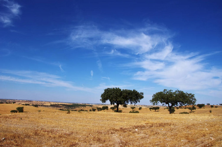 Alentejo 风景, 葡萄牙的南部