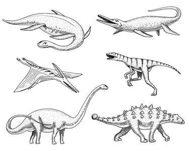 恐龙依拉丝莫龙, Mosasaurus, Barosaurus, 梁龙, 环江, 甲龙, 伶, 化石, 翅蜥蜴。美国史前爬行动物