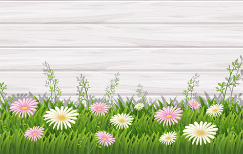 背景设计与白色和粉红色的花朵