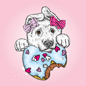 一只漂亮的小狗和一个五颜六色的甜甜圈。矢量插图。纯种狗和甜点