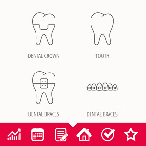 牙科的皇冠 大括号和牙图标