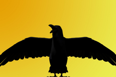 孤立在黄色背景上的黑乌鸦