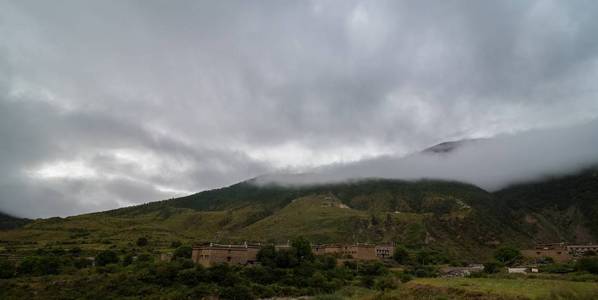 在风景秀丽的风景景观中, 用长青针叶树笼罩在云雾中的山坡