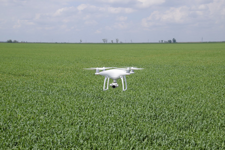 在一片麦田上空飞行白色 quadrocopters